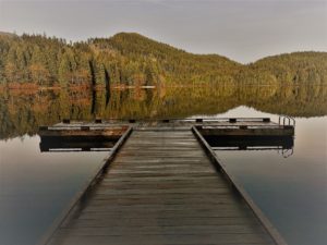 IMG_1205 (2)